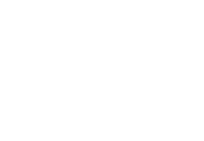 logo VIS